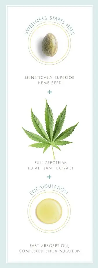 A poster showing the different types of cbd oil.