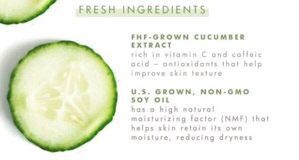 The ingredients of a cucumber face mask.