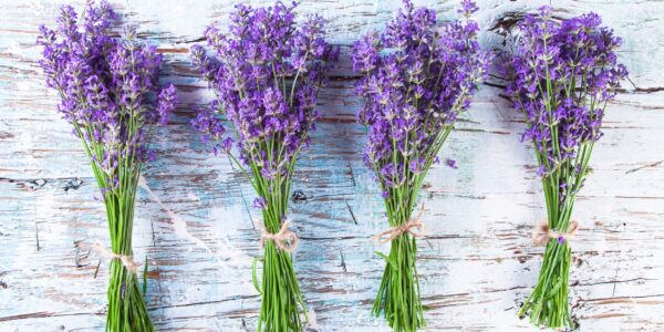 A bunch of lavender flowers on a wooden table.