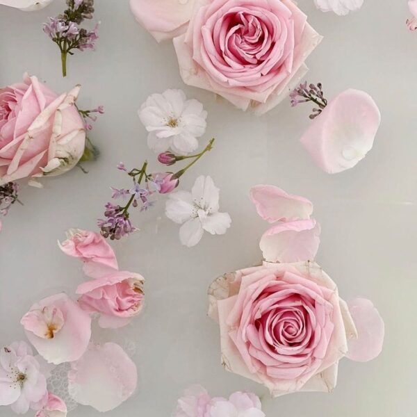 Pink roses and flowers on a white surface.